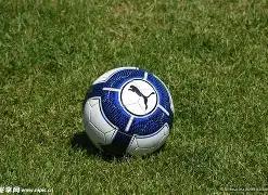 超越完美,西西帕斯成,功挺进澳网,IM电竞网页版下载,IM电竞网页版官网,IM电竞网页版登录,IM电竞网页版app