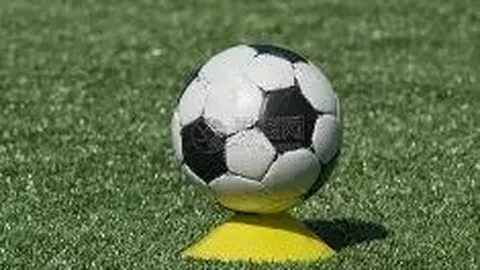 IM电竞网页版下载 产品 093242 v9j