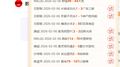 卢卡库头球绝杀比利时，瓦纳特替补建功助乌克兰翻盘