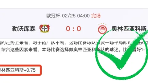 探秘克卢日大学阿格斯战前风云：一窥赛场博弈策略揭秘！